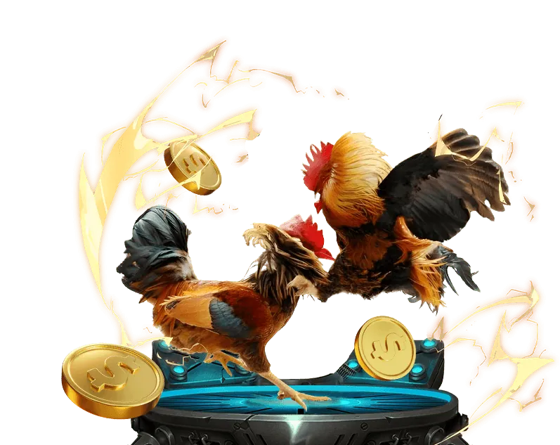 Hỗ trợ FAQ 789bet